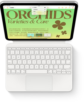 iPad 与白色妙控键盘双面夹相连的俯视图。