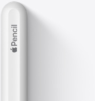 图片展示 Apple Pencil 第二代的顶部，具有圆润的末端、Apple 标志和 Pencil 字样。