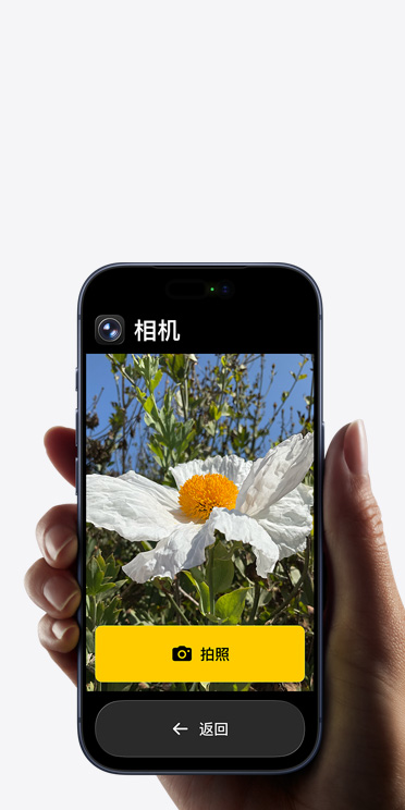 iPhone 17 Pro 屏幕显示精简的相机 app 界面,包括取景画面中的白色花朵、“拍照”按钮及其下方的“返回”按钮。