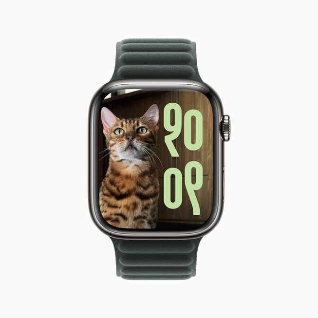 Apple Watch Series 9 的照片表盘上显示一只身上有条纹的猫。