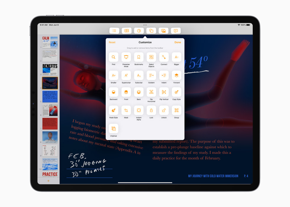 展示于 iPad 上桌面级的 app 可自定义工具栏。