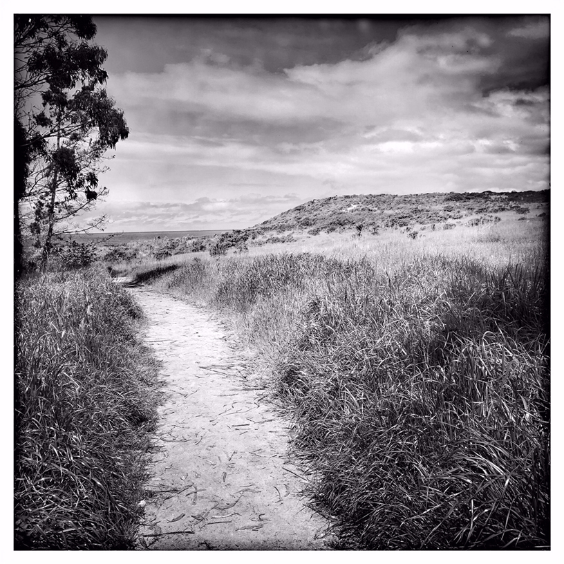 Rachael Short 用 iPhone XS 拍摄的 Monastery Beach 海边小路。