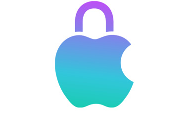  Apple privacy icon.