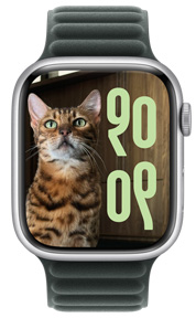Apple Watch 屏幕展示猫咪照片表盘，时间显示大小和语言文字均为自定义