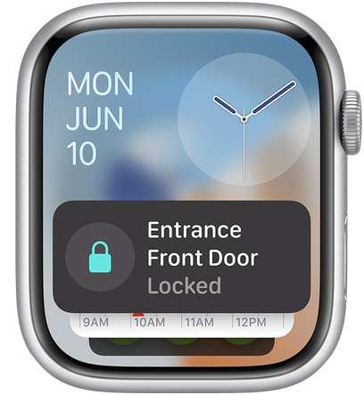 Apple Watch 屏幕显示家庭 app 小组件